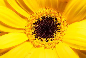 The closer you get, more will be revealed.