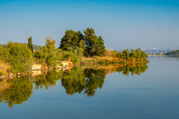 Trees are reflecting at the calm waters in Koutavos lagoon near Argostoli in Kefalonia, Greece 