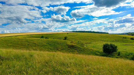 field and sky