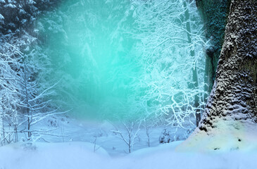 Snowy forest landscape with transparent light blue glow. Winter woods scene