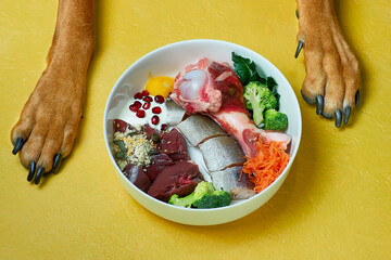 Healthy natural pet food in bowl and dog's paws on yellow background. Fish, beef meat, bone,...
