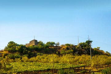 The vast rolling plains of Central Sicily. All over this area are abandoned farms and impoverished villages. This was as a result of the huge emigration of its people in the 19th and 20th century