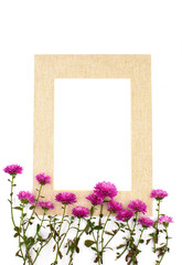 Purple violet tiny cute Chrysanthemum and natural beige yellow color frame isolated on white background. Border photo with free blank copy space for text. For cards, wedding decor, invitations