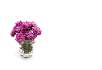 Purple violet tiny cute Chrysanthemum flowers and in a transparent glass isolated on white background. A4 paper size border frame photo with free blank copy space for text