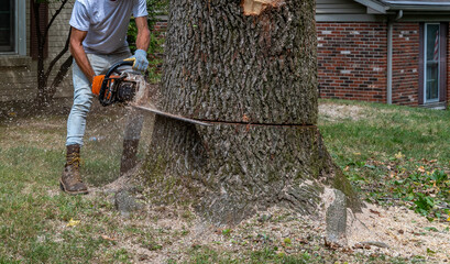 person cutting tree with chainsaw - large trunk suburban tree removal
