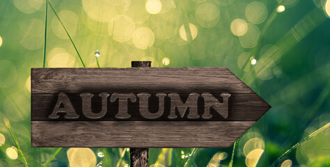 autumn sign abstract arrow wood

