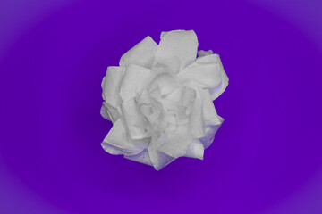 handmade rose, made of toilet paper. full color