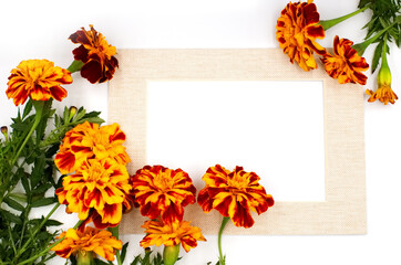 Obraz premium Yellow red orange autumn fall marigold calendula flowers and natural beige yellow color frame isolated on white background. Border photo with free blank copy space for text