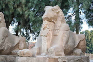 Ram-headed sphinx from Karnak Temple (Luxor, Egypt)