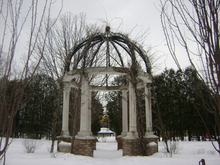 Gazebo covered in vines in winter