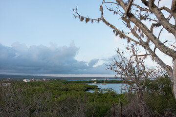 A cloudy sky and a lake at Puerto Ayora, Santa Cruz Island, Galapagos, Ecuador