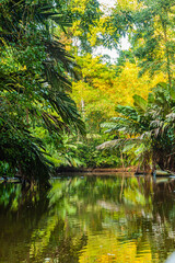 Costa Rica, flora and fauna at its best: a breathtaking trip through a mangrove forest