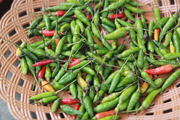 Top View Pile of Fresh Chili 