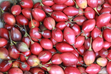 Tamarillo is a shrub or tree in the flowering species Solanaceae.