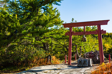 Fototapeta na wymiar 日本　山梨県、富士山の奥庭展望地の天狗の庭