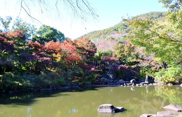 秋の彩り　風景　きれい