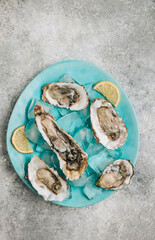Fresh oysters in a blue plate with ice and lemon on a concrete background.