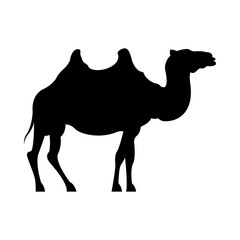 dromedary animal silhouette isolated icon