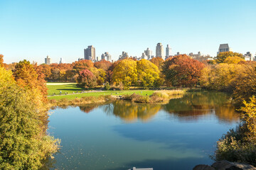 Fall in Central park  - obrazy, fototapety, plakaty