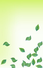Green Leaf Fresh Vector Green Background Design. 