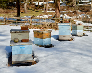 Honey bee hives in winter.  Copy space.  Long Island, New York.