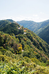 Fototapeta premium 嵐山高雄パークウェイからの景色