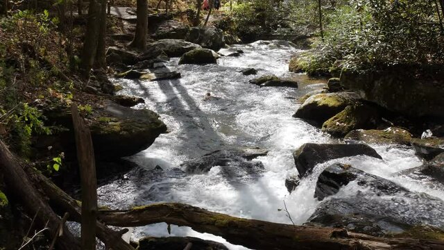 Sparkling river water streams downhill from Anna Ruby Falls, 4k, 60fps