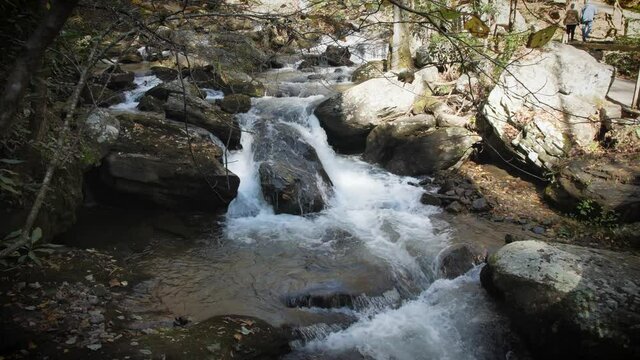 Water of Smith Creek cascades along trail to Anna Ruby Falls, 4k, 60fps