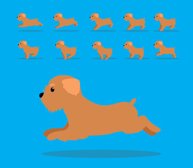 Animal Animation Sequence Dog Brussel Griffon Cartoon Vector