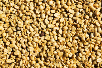 Sun dried Coffee beans background