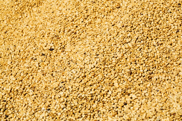Sun dried Coffee beans background