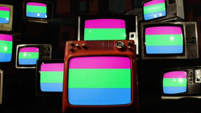 Polysexual Pride Flag and Vintage Televisions.