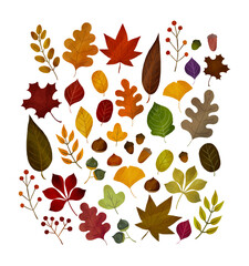 Obraz premium 紅葉の葉ベクターフレーム 