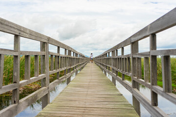Fototapeta premium Beautiful view of Wooden Bridge on lotus lake at Khao Sam Roi Yod National Park, Thailand.