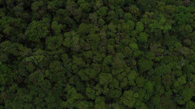 Aerial view of Fonte Grande State Park. Video recorded in Vitoria, Espirito Santo, in 2020.