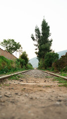 train rails in a village with green trees