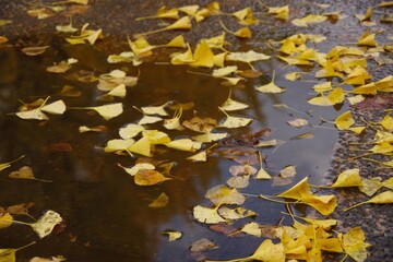 雨とともにすぐそこに