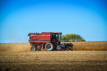Harvester harvesting corn in a field in the fall in Quebec