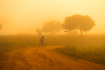 Man ride on bicycle in winter misty morning. 
