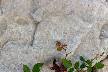 Natural stone used in construction and outdoor landscape design.