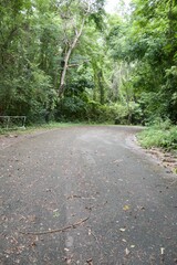 road in forest at Chonburi , Thailand