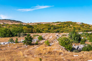 Autumn steppe landscape on a mountain plateau with low trees.