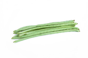 Vigna unguiculata on white background.