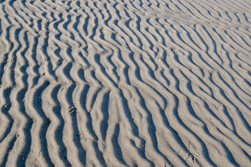 On the seashore, the undulating surface of a gray sand dune with fluted wavy zigzags of low mounds with small pebbles with paths of bird tracks. The natural sandy background.