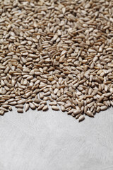 Obraz premium sunflower seeds on rustic background