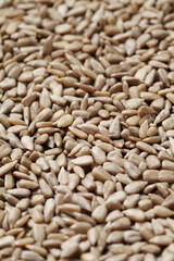 sunflower seeds on rustic background