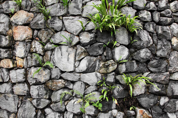 Texture from old castle stone wall