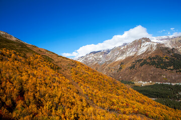 Autumn colors of Cheget mountain with a view of the top. Elbrus region, Kabardino-Balkaria. Russia