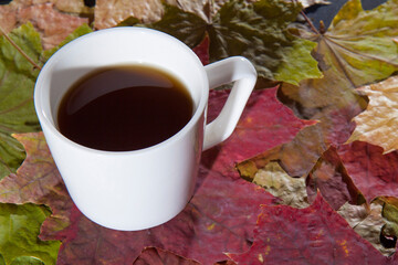 A cup of coffee and maple leaves