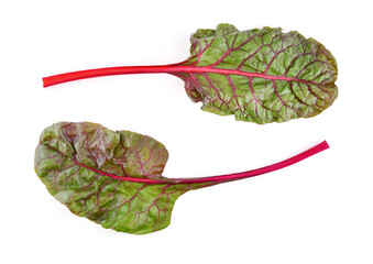 rhubarb isolated on white background